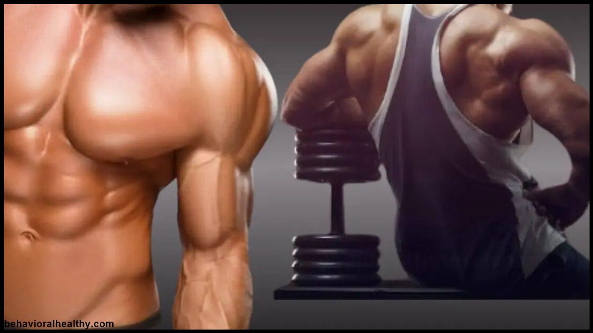 Well Health Build Muscle Guide Proven Tips for Natural Growth 1.jpg